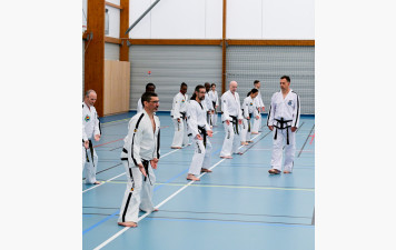 Séminaire Grand Maître Whiteley